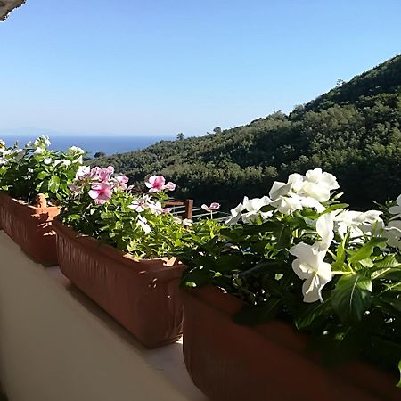 Il Covo Delle Civette Bed & Breakfast Vietri Bagian luar foto