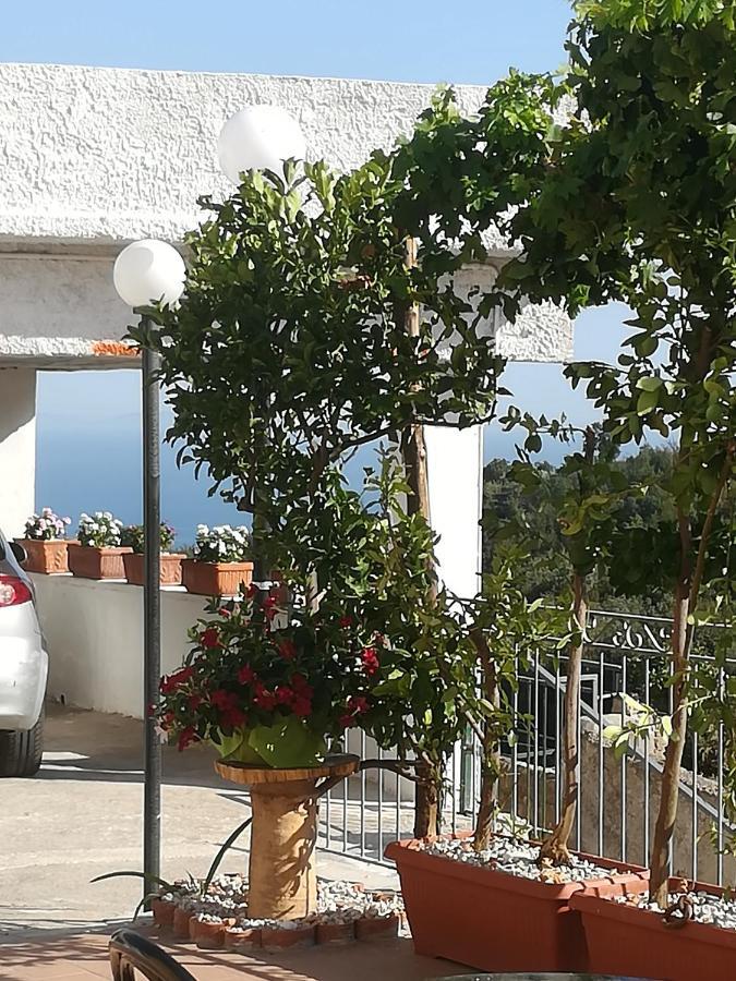 Il Covo Delle Civette Bed & Breakfast Vietri Bagian luar foto