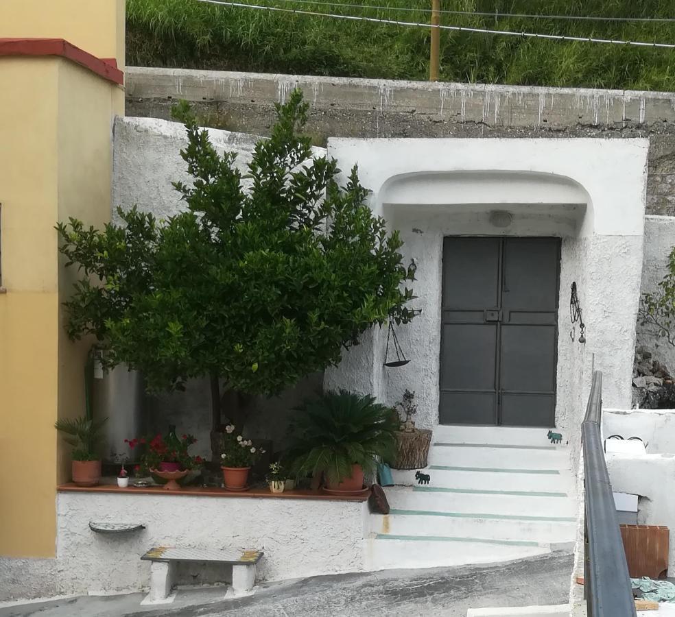 Il Covo Delle Civette Bed & Breakfast Vietri Bagian luar foto
