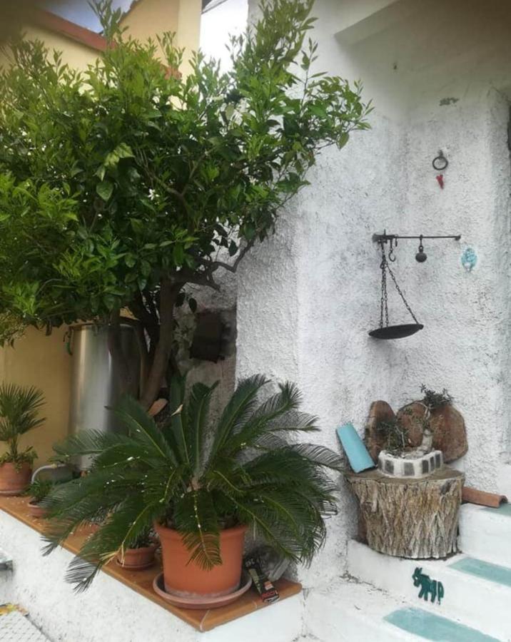 Il Covo Delle Civette Bed & Breakfast Vietri Bagian luar foto
