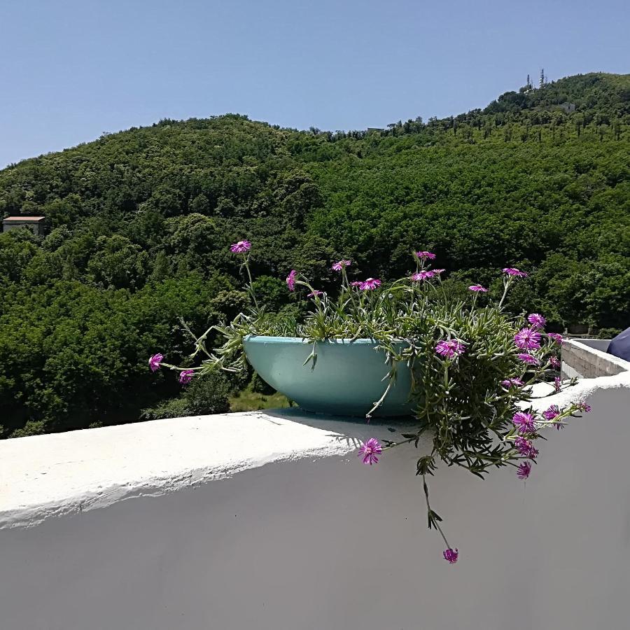 Il Covo Delle Civette Bed & Breakfast Vietri Bagian luar foto