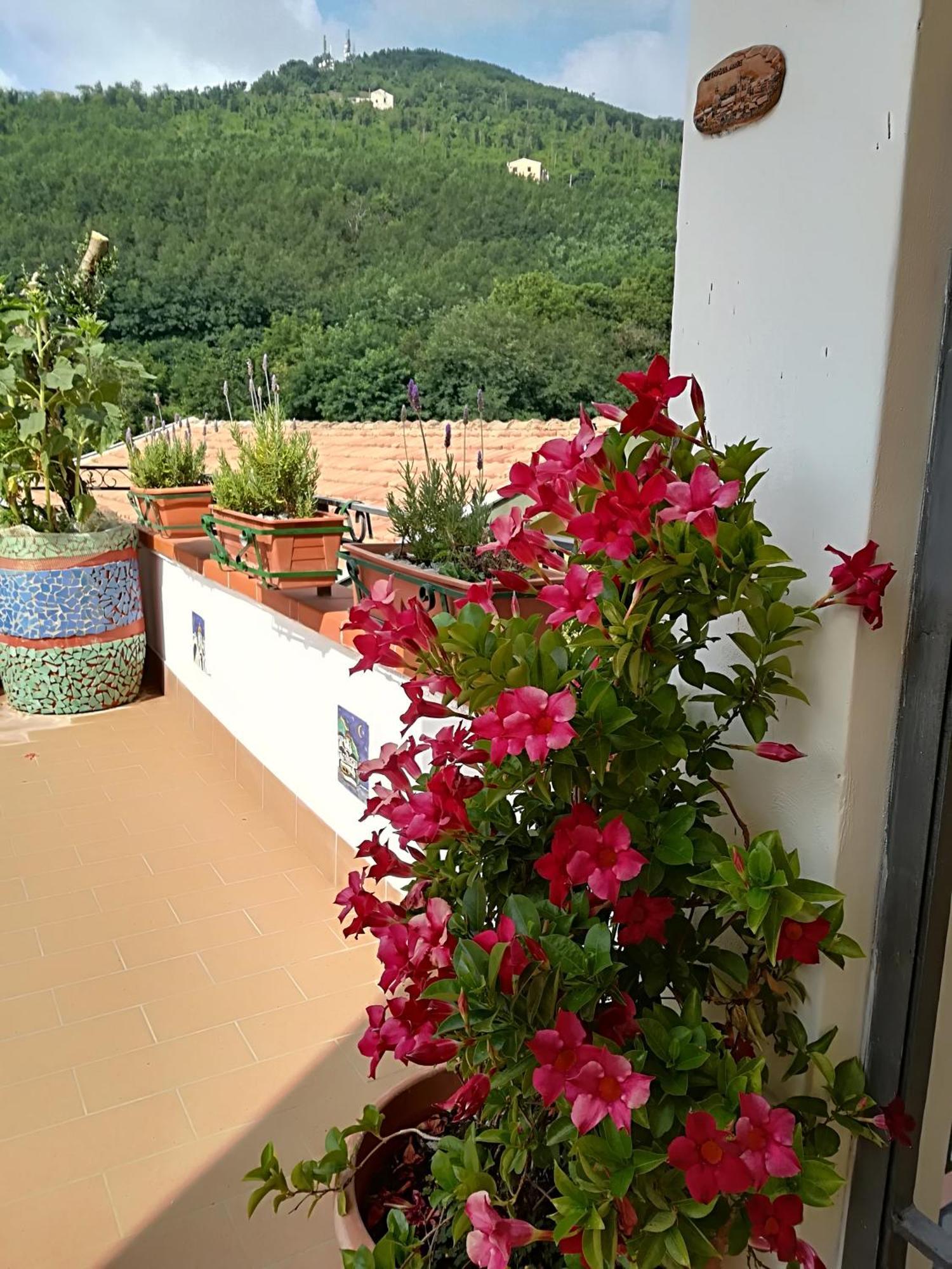 Il Covo Delle Civette Bed & Breakfast Vietri Bagian luar foto