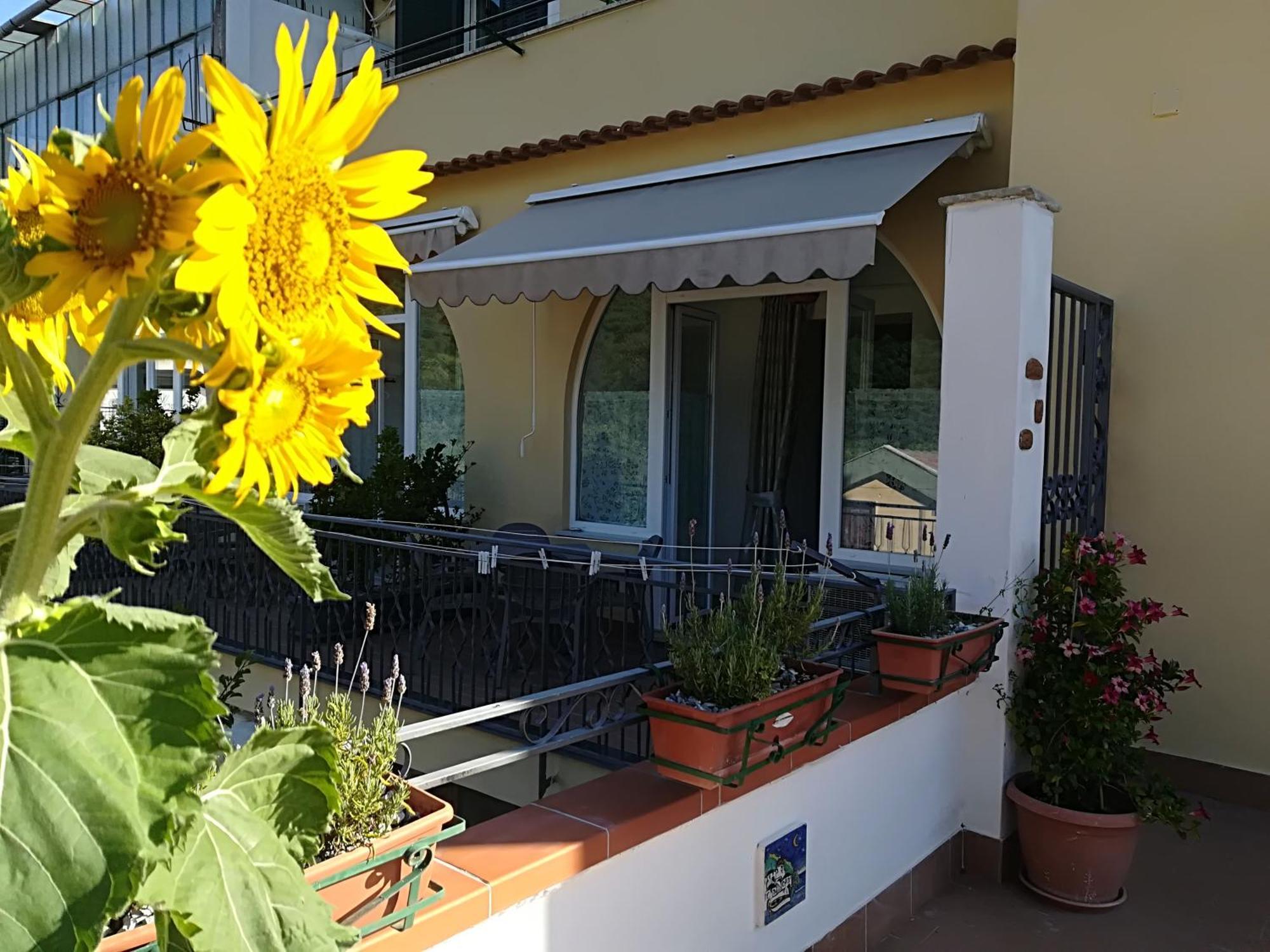 Il Covo Delle Civette Bed & Breakfast Vietri Bagian luar foto