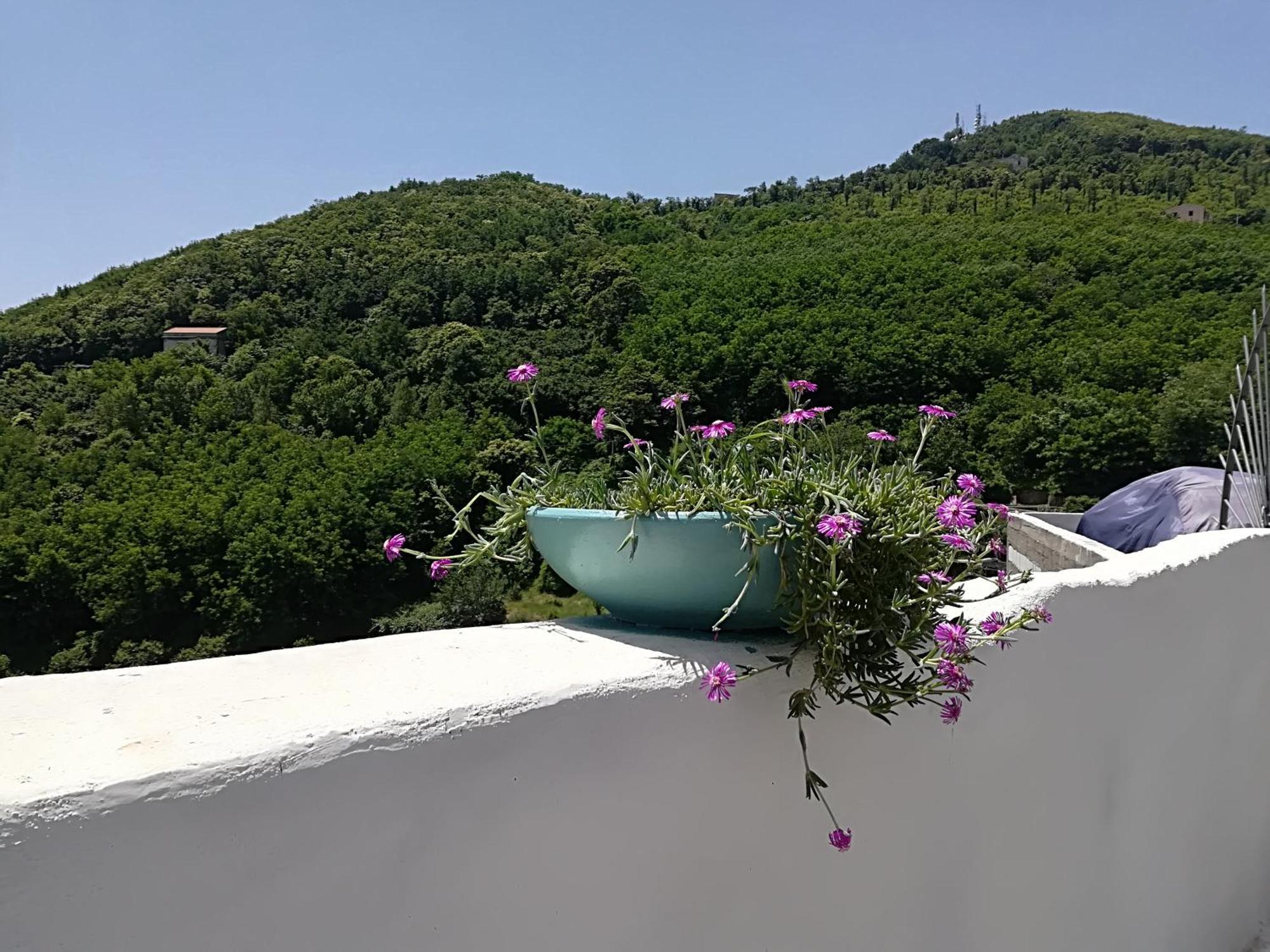 Il Covo Delle Civette Bed & Breakfast Vietri Bagian luar foto